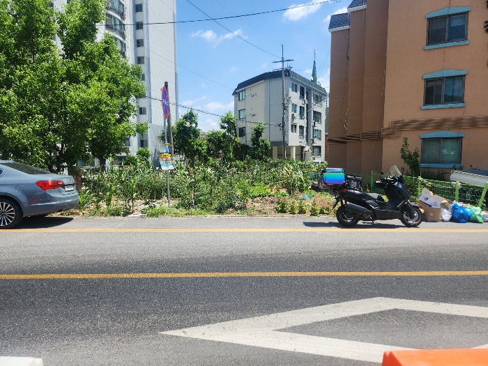 본건 기호(6) 전경
(서측촬영)