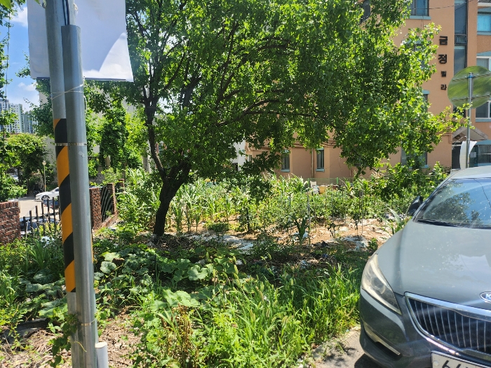 본건 기호(5) 전경
(남서측촬영)