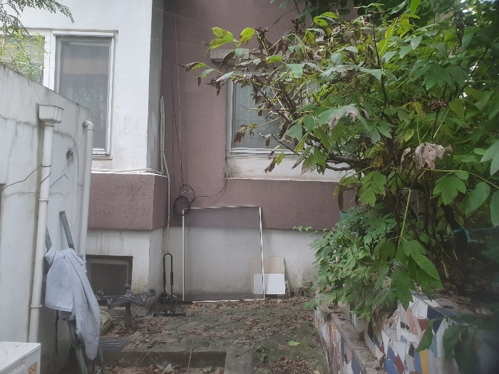 안마당에서 본 지층 부분