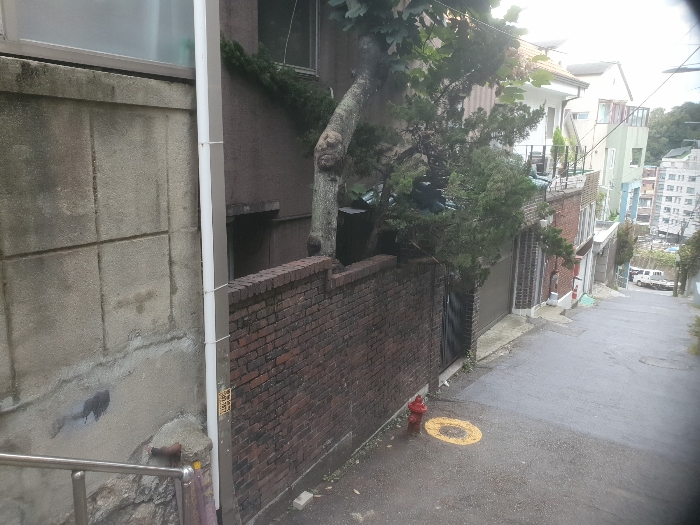 북서측 도로 접면