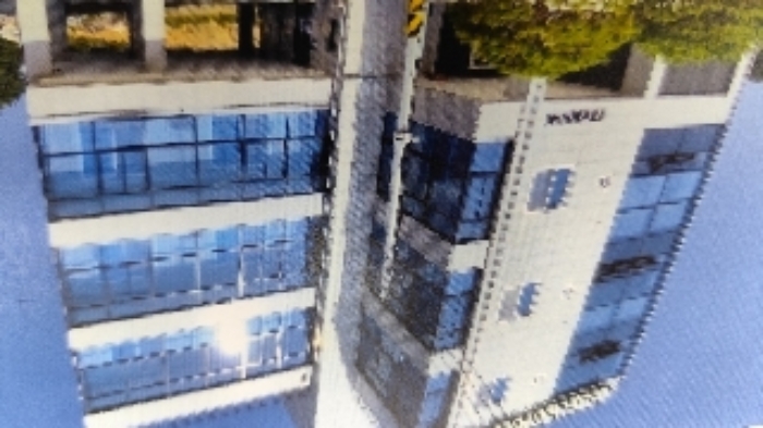 4,5번 부동산과 지상의 6번 부동산