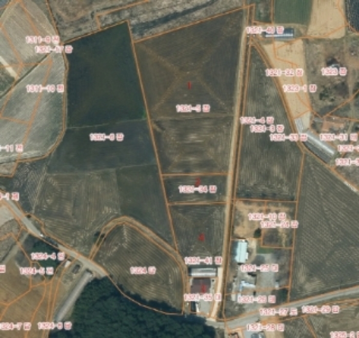 본건 지적 참고도