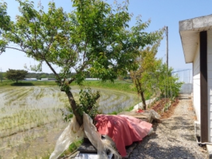 [목록 3] 서쪽 경계 부분 지상의 모습