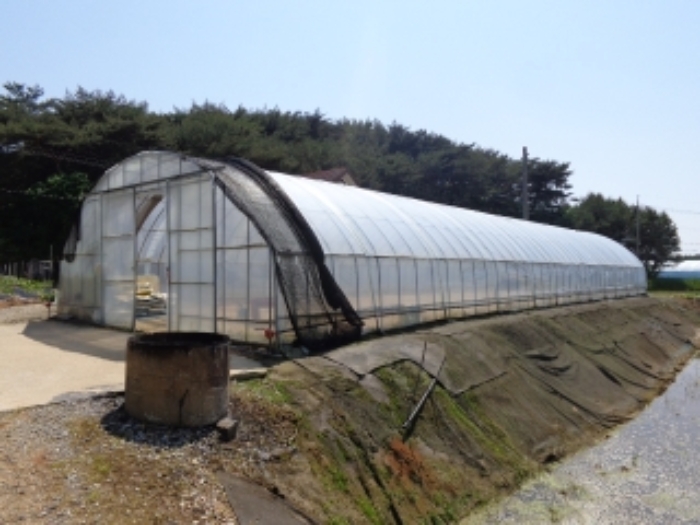 [목록 4] 남쪽 지상에 있는 제시외 비닐하우스의 모습