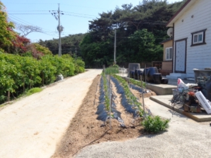 [목록 4] 남동쪽 길쭉한 모양의 형상을 한 지상의 모습