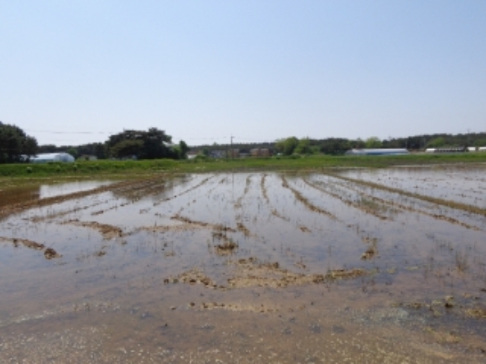 목록 2] 동쪽에서 바라본 모습