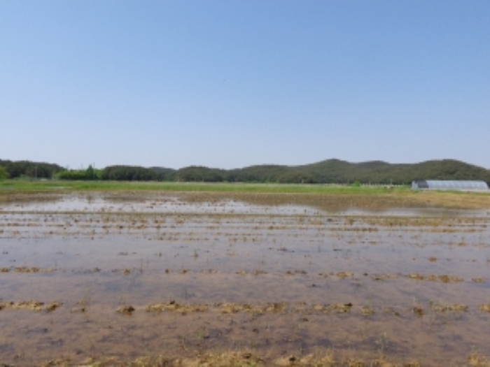 [목록 2, 4] 남쪽에서 바라본 모습