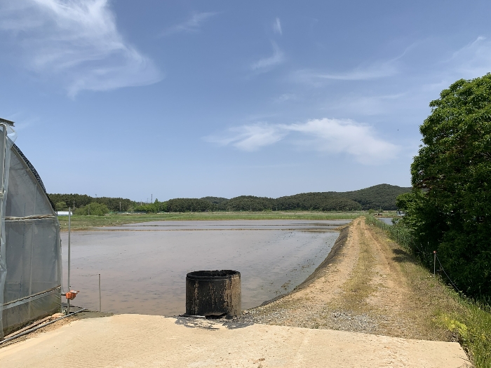 기호(1),(2),(4) 및 주위전경