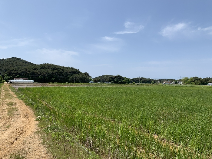 기호(1),(2),(4) 및 주위전경