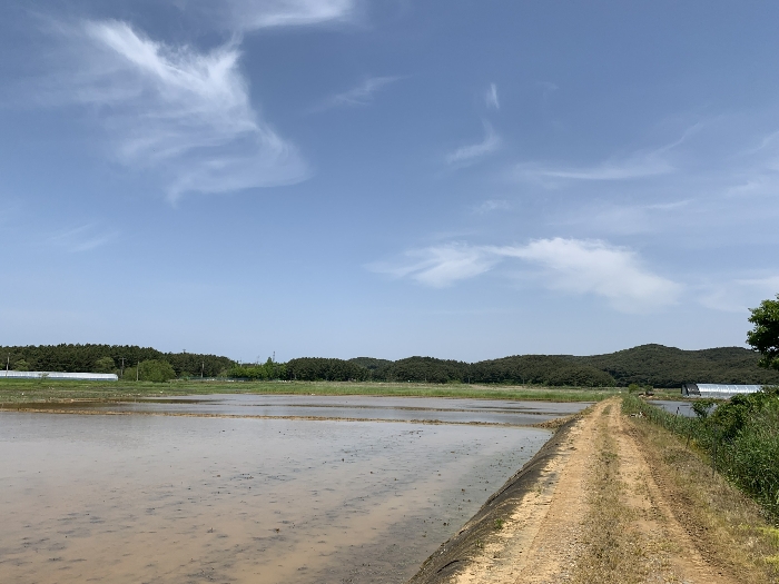 기호(1),(2),(4) 및 주위전경