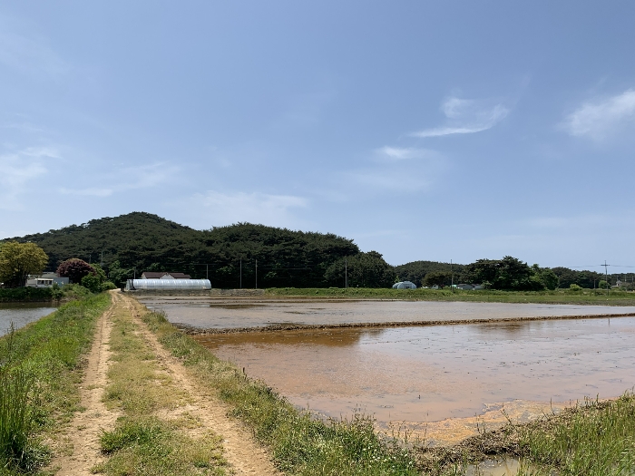 기호(1),(2),(4) 및 주위전경