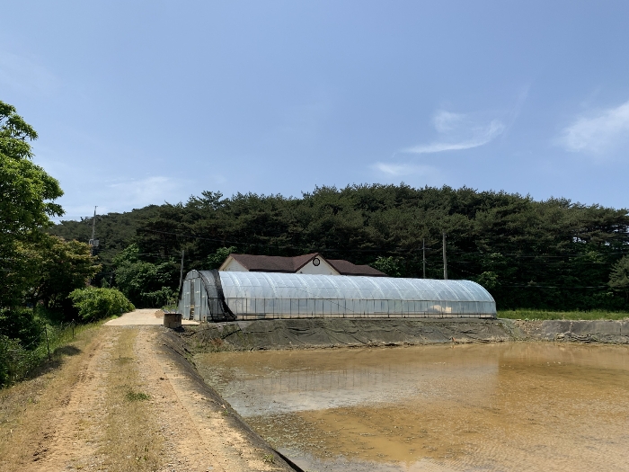 기호(4) 및 주위전경