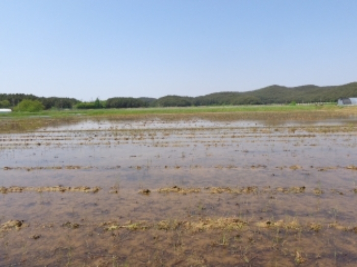 [목록 1, 2] 남쪽에서 바라본 모습