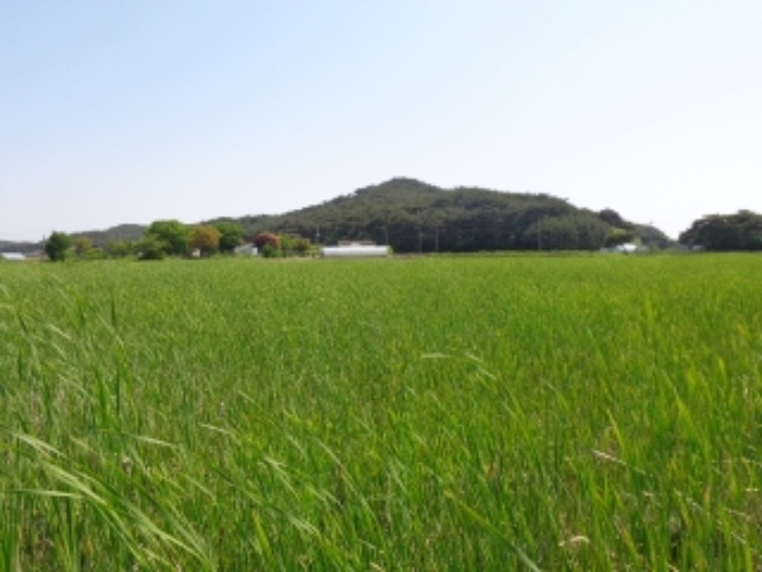 [목록 1] 북쪽에서 바라본 모습