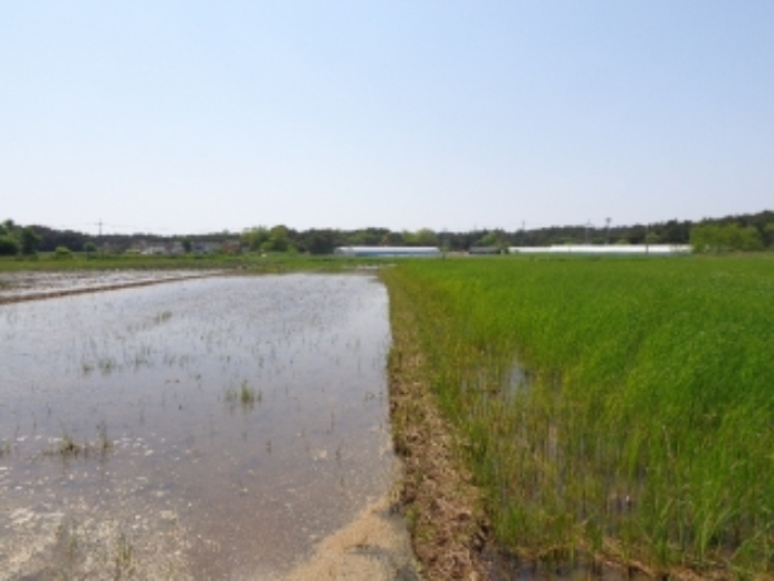 [목록 1] 동쪽에서 바라본 북쪽 지상의 모습