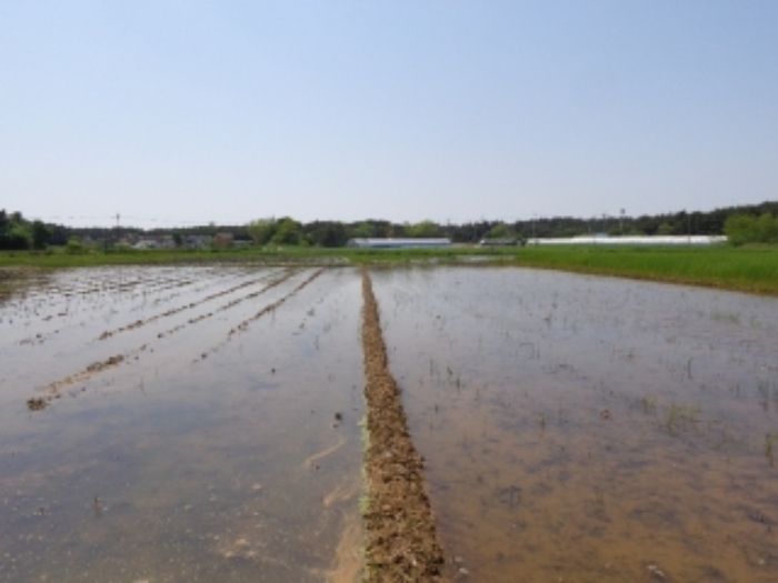 [목록 1] 동쪽에서 바라본 남쪽 지상의 모습