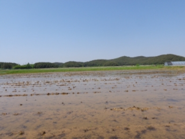 [목록 1] 남쪽에서 바라본 모습