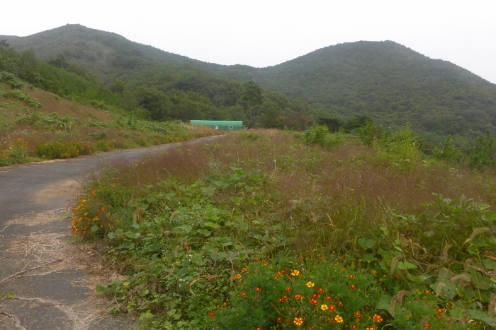 기호(1,2,8) 전경