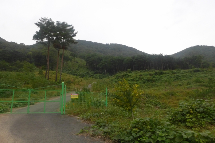 기호(1,7,8,9) 전경