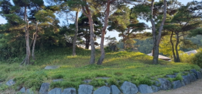 178, 1043-1 지상 정원수