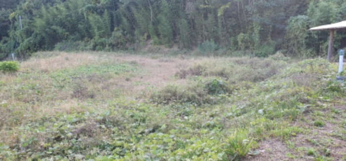 168-7, 168-8, 산 20-23