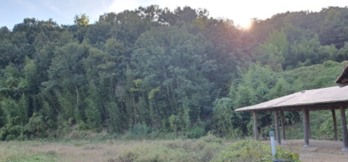 168-7, 168-8, 산 20-23