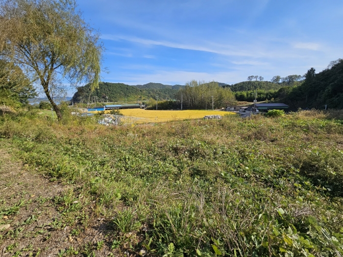 [ 일련번호 10) ]