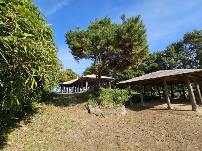 [ 일련번호 2) 지상 조경수 및 조경석 일체(감정평가 외) ]