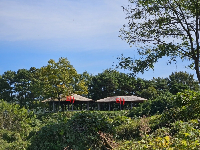 [ 일련번호 12),13) 및 일련번호 타),파) ]