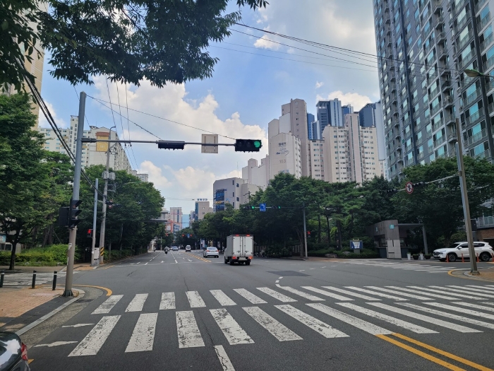 아파트단지 정문 앞 도로 전경
(도로 북서측에서 촬영)