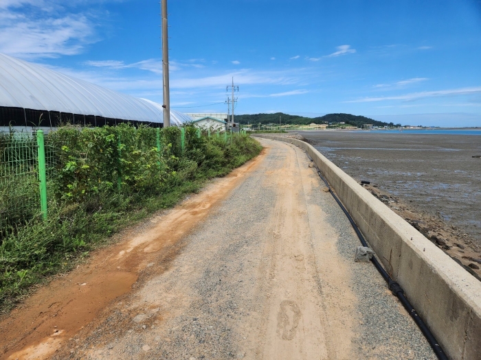 본건 인접 제방도로