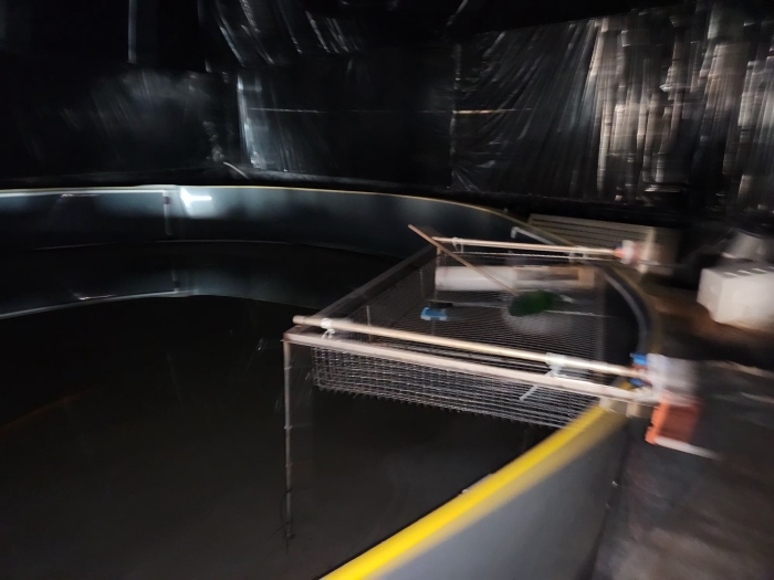 기계기구(8-4) 급이대