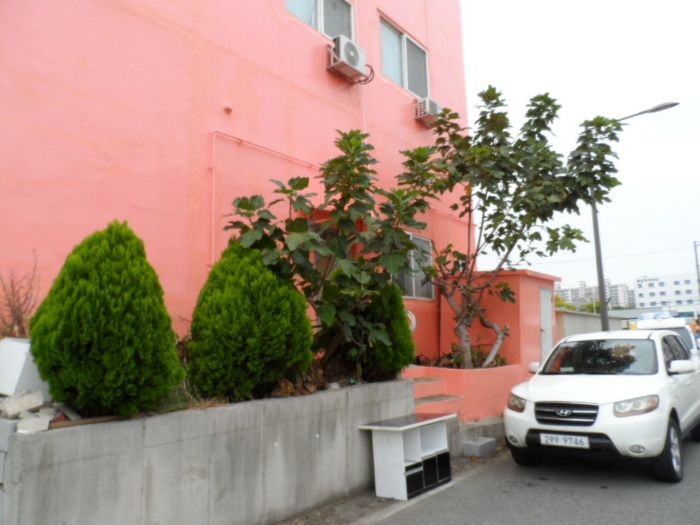 제시외 건물(수목) ㄷ, ㄴ