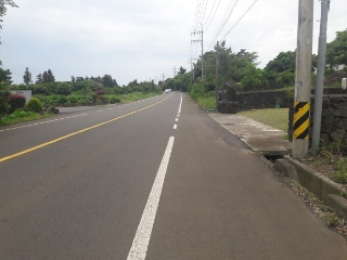소재지1.(수산리 1029-2) 인접 도로 전경