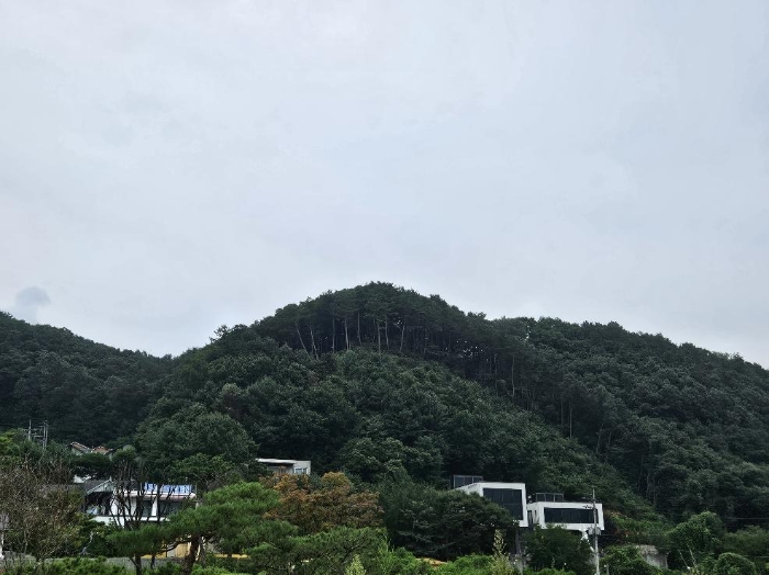 제시 목록  전체 전경