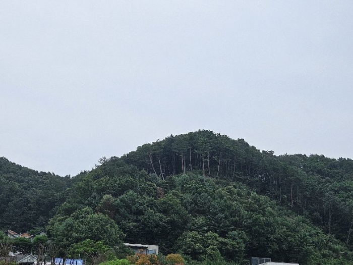 제시 목록  전체 전경