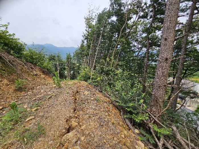 제시 목록 1 전경