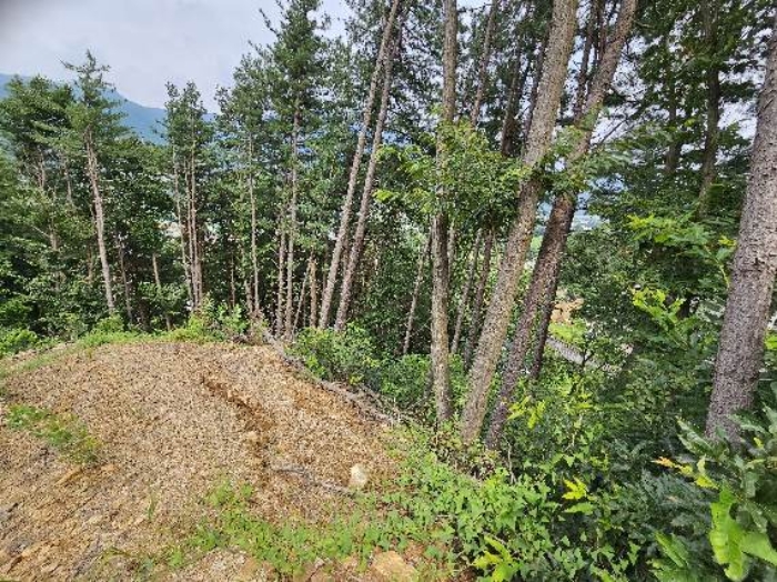 제시 목록 1 전경