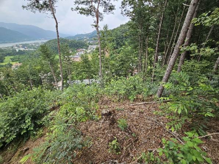 제시 목록 3 전경