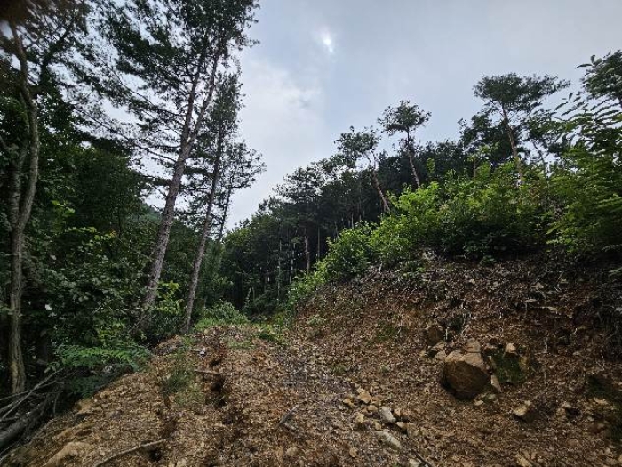 제시 목록 3 전경