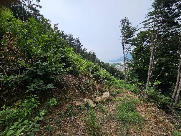 제시 목록 3 전경(위쪽)