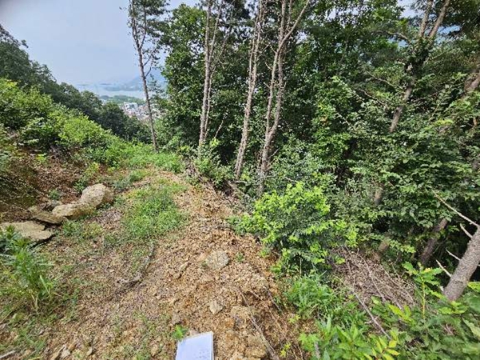 제시 목록 4 전경(아래쪽)