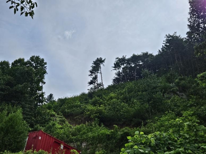 제시 목록 6, 7 전경