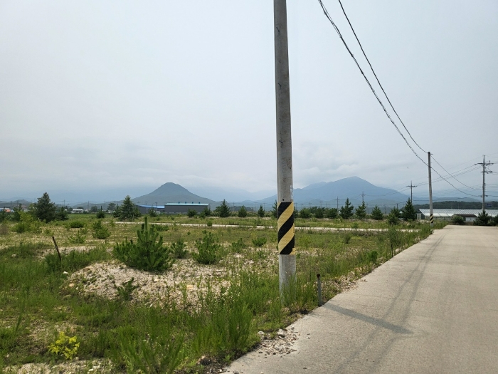 본건전경(기호5