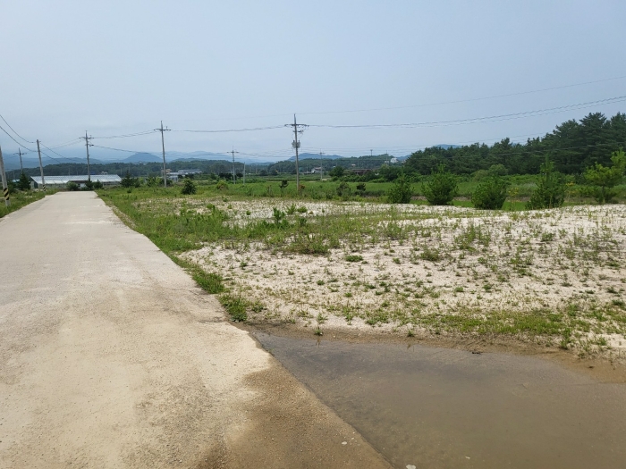 본건전경(기호8