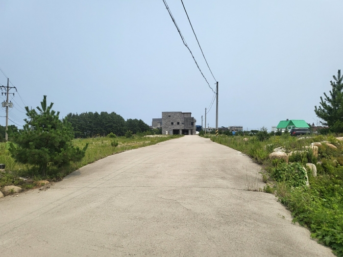 본건전경(기호3