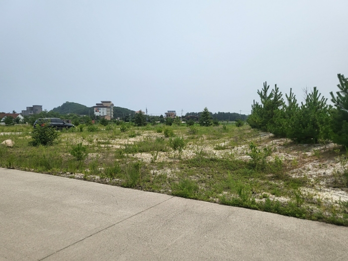 본건전경(기호4