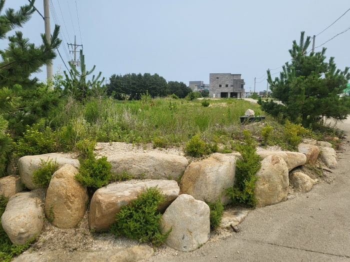 본건전경(기호1