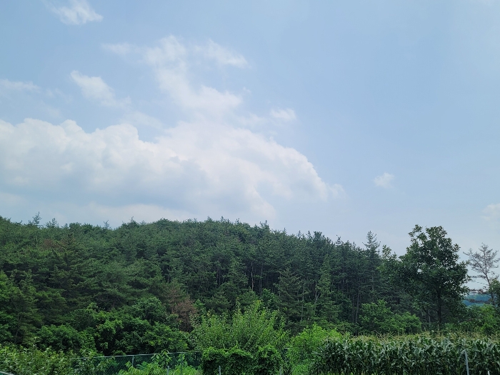 본건(1)-(4) 전경