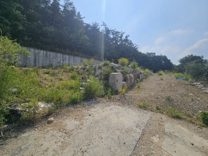 일련번호(2) 전경